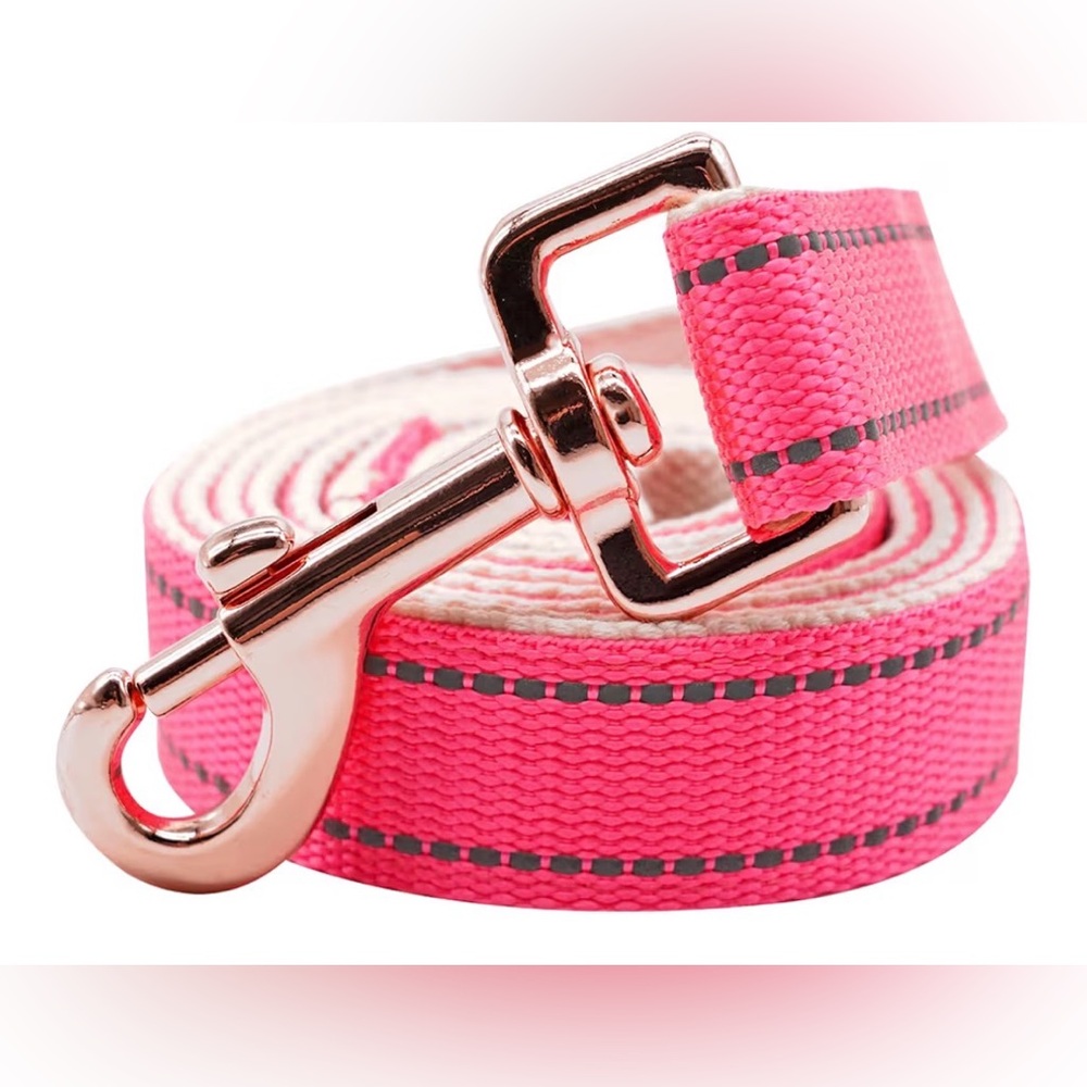 Reflective Pink Dog Leash